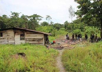 Komandan Kodim Mimika Bocorkan Situasi Terkini Mimika Menjelang HUT RI yang Habis Diserang KKB Papua, Ternyata Beginilah Situasi KKB Papua di Sana Sekarang