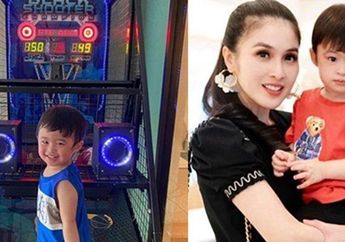 Demi Manjakan Raphael Moeis, Sandra Dewi dan Harvey Moeis Nekat Boyong Mesin Basket Seharga Rp 37 Juta