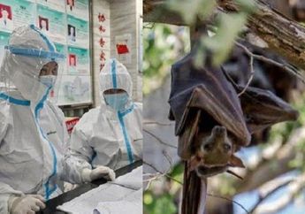 KABAR BURUK! Ilmuan Temukan Jenis Virus Corona Baru di Kelelawar, Berpotensi Melompat dari Hewan ke Manusia!
