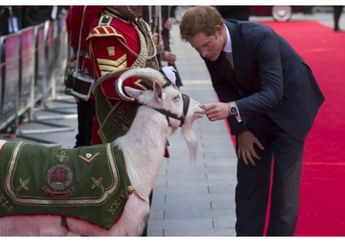 Seperti Sang Nenek, 7 Foto yang Buktikan Pangeran Harry adalah Penyayang Hewan!