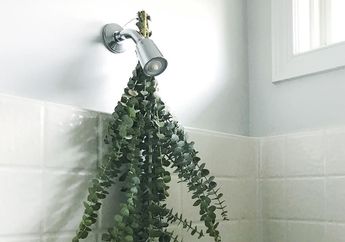 Tanpa Sadar Shower Jarang Dibersihkan Hingga Bisa Timbulkan Penyakit Mematikan Ini, Coba Manfaatkan Bumbu Dapur Satu Ini!