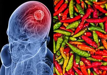 Makanan Pencegah Meningitis, 3 Makanan Favorit Orang Indonesia Ini Bisa Bikin Kita Jauh dari Penyakit Radang Selaput Otak Ini!