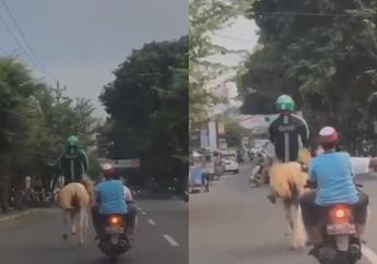 Bak Pangeran Kerajaan, Driver Ojol Ini Lihai Tunggangi Kuda di Jalanan Solo, Netizen Auto Ingat Lee Min Ho : Nggak Bisa Pulang ke Kerajaan Korea Terpaksa Ngojol