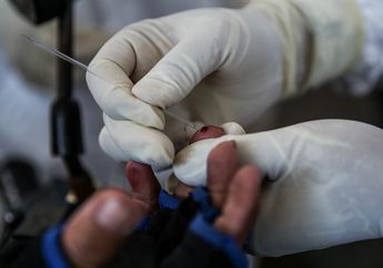 Warga Baru Siap Aktivitas Lagi dengan Kondisi New Normal, Mendadak Badan Kesehatan Ini Bikin Nyali Ciut: Ada Temuan Virus Jenis Baru yang Lebih Mematikan dari Corona