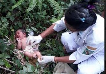 Dengar Suara Tangisan di Tengah Kebun Kelapa Sawit, Pencari Lidi Ini Kaget Saat Tahu Ada Bayi Mungil yang Dibuang Hanya Beralaskan Jarik