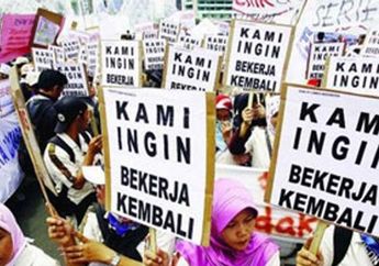 Angin Segar, 6.059 Pekerja Tedampak PHK Sudah Kembali Bekerja Usai Klaim JKP Rp41,6 Miliar