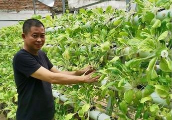 Dulu Punya Prestasi Mentereng Hingga Fotonya Jadi Viral, Mantan Menteri Jokowi Ini Jadi Petani Sayur di Antara Hutan Beton Jakarta, Sebentar Lagi Duduki Posisi Bergengsi di Perusahaan Mutinasional