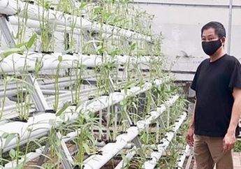 Dulu Jadi Pejabat dengan Sederet Prestasi Hingga Bikin Jokowi Jatuh Hati, Kini Mantan Menteri Ini Pilih Jadi Petani Sayur di Antara Hutan Beton Jakarta, Tak Sengaja Dia Pun Bongkar Besarnya Uang Pensiun