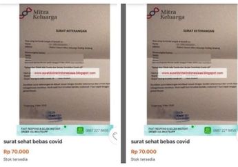 4 Fakta Tentang Surat Bebas Covid-19 yang Heboh Dijual Secara Online!