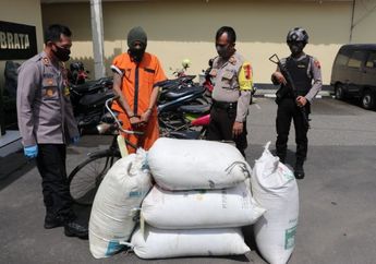 Demi Puaskan Diri Main Game Online di Warnet, Remaja Ini Nekat Curi Gabah Milik Warga hingga Puluhan Kali, Polisi: Setiap Akan Main, Tersangka Mencuri Dulu..
