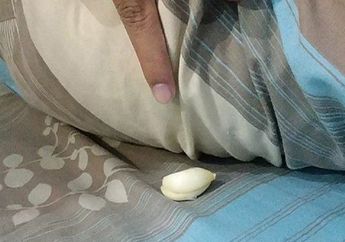 Cobalah Meletakkan Bawang Putih di Bawah Bantal Sebelum Tidur, Manfaatnya Bukan Main Bagi Tubuh
