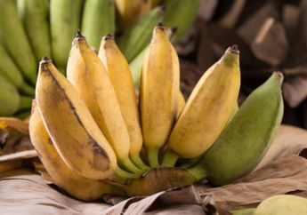 Biasa Jadi Menu Sarapan, Tak Disangka Ternyata Pisang Raja Bisa Menghilangkan Racun dalam Paru-paru, Begini Cara Mengonsumsinya