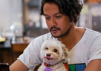 Seolah Rindukan Majikannya, Anjing Lucu Kesayangan Dwi Sasono Kepergok Duduk Anteng di Sofa Ruang Tengahnya Sembari Pasang Ekspresi Melas, Widi Mulia: Ada yang Kangen..