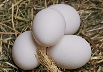 Sering Dijual Pedagang Nakal, Begini Cara Membedakan Telur Ayam Kampung Asli dan Palsu! Cuma Perhatikan 3 Tanda Ini