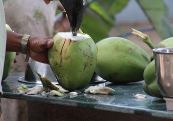 Terbongkar! Ternyata Ini Waktu Paling Baik Minum Air Kelapa Agar Manfaatnya Langsung Terasa oleh Tubuh, Kamu Pasti Tidak Menyangka