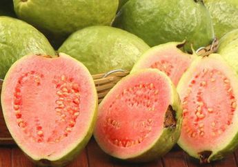 Penderita Diabetes Wajib Tahu, Ternyata Ramuan Jambu Biji Miliki Manfaat Baik Bagi Tubuh, Minum Sekarang Juga!
