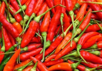 Endus Kecurangan Pedagang Nakal, BPOM Banyumas Temukan Cabe Rawit yang Dicat Bukan Pakai Pewarna Makanan, Tidak Bisa Larut Meski Pakai Alkohol!