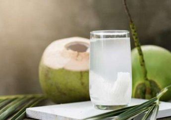 Bukan di Siang Hari, Ternyata Minum Air Kelapa pada Waktu Ini Bisa Datangkan Manfaat Luar Biasa untuk Tubuh!