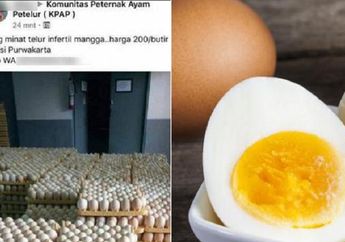 Sebutir Dijual Cuma Rp 200 Perak, Telur Ayam ini Justru Dilarang oleh Pemerintah, Terungkap Alasannya