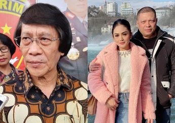 Nama Kak Seto Dicatut saat Semprot Krisdayanti dan Raul Lemos di Youtube Deddy Corbuzier, sang Psikolog Anak: Bukan, Itu Bukan Saya!