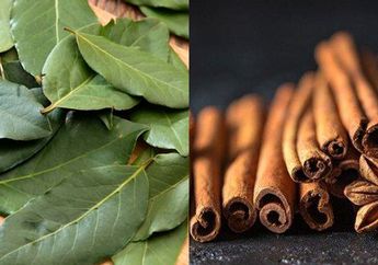 Coba Rebus Daun Salam dan Kayu Manis Bersamaan, Air Rebusannya Siapa Sangka Bisa Buat Turunkan Berat Badan! Coba Sekarang