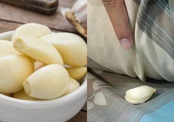 Benarkah Taruh Bawang Putih di Bawah Bantal Sehat Untuk Tubuh? Berikut Penjelasan Masuk Akalnya