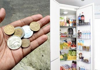 Bisa Bikin Hemat Listrik, Cukup Letakkan Koin di Dalam Kulkas, Hal 'Ajaib' Ini Akan Terjadi