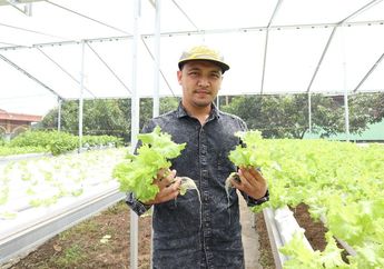 Antisipasi Kendala Berkebun Hidroponik Skala Rumahan dan Komersial
