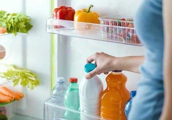 Bisa Berakhir di Tempat Sampah, Stop Simpan Susu di Pintu Kulkas Kalau Tak Mau Risiko ini Terjadi