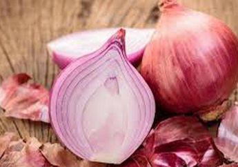 Coba Oleskan Irisan Bawang Merah ke Wajah, Hal Fantastis Ini Akan Terjadi Pada Kulit Anda! Enggak Bakal Nyangka