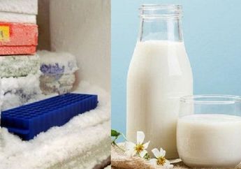 Tidak Ada yang Bakal Menyangka, Simpan Susu dalam Freezer Justru Bisa Membawa Berkah, ini Alasannya