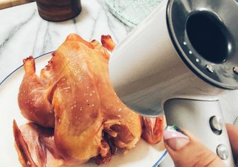 Wanita Ini Iseng Panggang Ayam dengan Hair Dryer, Lihat Hasilnya Pasti Buat Syok