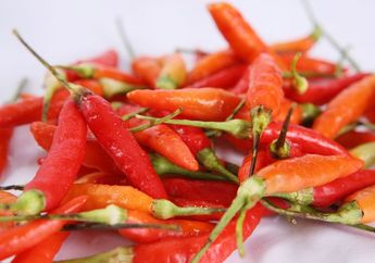 Terbongkar Cara Simpan Cabai Agar Tidak Cepat Busuk, Dijamin Tetap Segar Sampai 3 Bulan Cuma dengan Langkah Mudah Ini