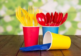 Jadi Kebiasaan, Ternyata Makan dengan Sendok Plastik Berbahaya Banget, Penyakit Mematikan Ini Menjalar dalam Tubuh