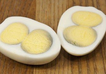 Makan Telur Rebus Dengan Kuning Telur yang Kehijauan Disebut Berbahaya bagi Tubuh, Ini Kata Ahli