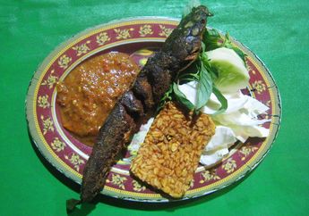 Disebut Bisa Sebabkan Kanker, Ahli Minta Kita Tak Makan Satu Bagian Tubuh Lele Ini! Wajib Dibuang