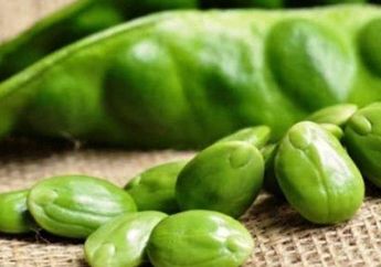Wajib Tahu, Rutin Rebus Kulit Petai dan Minum Airnya Bisa Jadi Obat Alami Untuk 3 Penyakit ini