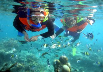Tahan Dulu Kalo Mau Nyebur di Kepulauan Seribu, Ada Aturan Diving Saat New Normal