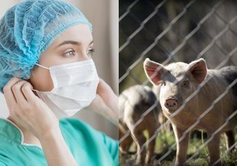 Covid-19 Belum Juga Usai, Peneliti Kembali Temukan Virus Baru Mirip Flu Babi dan Berpotensi Jadi Pandemi, Faktanya Bikin Melongo