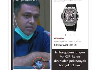 Mencak-mencak Usir Bos Inalum saat Rapat, Anggota DPR Ini Disorot karena Pakai Jam Tangan Seharga Honda HR-V