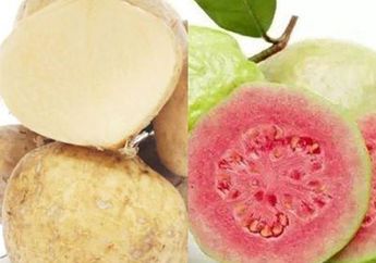 Wajib Tahu, Minum Jus Bengkuang dan Jambu Biji Ternyata Bisa Jadi Obat Alami Untuk Penyakit Berbahaya Ini