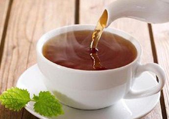 Terdengar Sepele, Ternyata Minum Teh Panas Bisa Merusak Tubuh hanya Dalam Wakut Sekejap, Waspada!
