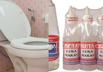 Tak Perlu Susah Payah, Campurkan 4 Bahan Alami Ini Sebagai Pembersih Kerak Kloset, Hasilnya Bak Beli Baru!