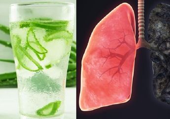 Rutin Minum Jus Lidah Buaya Setiap Hari, Keajaiban ini Bisa Langsung Terjadi Pada Paru-paru Seorang Perokok