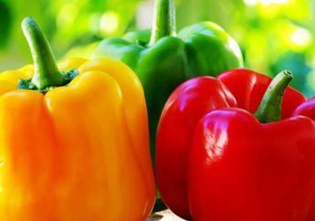 Pantas Pizza Jadi Makin Enak, Siapa Sangka Paprika Punya Segudang Manfaat Bagi Kesehatan yang Jarang Diketahui