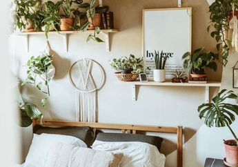 Healing di Rumah, Ini 4 Manfaat Memelihara Tanaman Bagi Kesehatan!