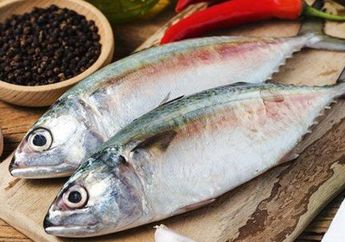 Jangan Sampai Salah! Begini Cara Menyimpan Ikan Agar Tidak Membahayakan Tubuh, Semua Wajib Tahu