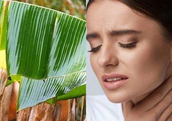 Coba Rebus Daun Pisang Lalu Minum Airnya Setiap Hari, Rasakan Sendiri Manfaatnya yang Luar Biasa untuk Tubuh