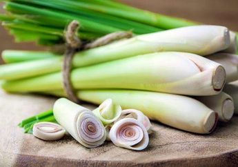 Cuma Tahan 4 Hari, Begini Rahasia Tukang Sayur Menyimpan Serai Agar Tetap Segar dan Awet, Bisa Tahan Sampai 2 Bulan!