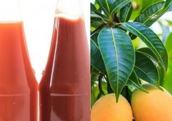 BERITA TERPOPULER: Dari Sambal Botolan yang Bisa Menyebabkan Kanker Sampai Manfaat Minum Air Rendaman Daun Mangga Di Pagi Hari